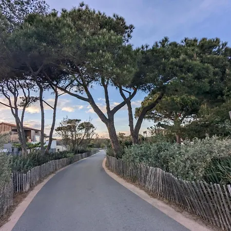 L'instant - Bord De - Avec Grand Jardin A La Capte イエール